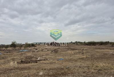 Oportunitate - Teren Chitila - 13.700 mp - pretabil pentru hale - 6