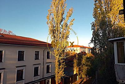 2 camere cochete, luminoase-open space,zona Monetarie-parcul Carol 2 camere cochete, luminoase-open space,zona Monetarie-parcul Carol - 10