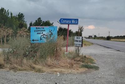 Teren de 11000 mp, în Dridu - 3