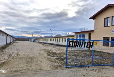 Spațiu comercial, de 1,128 mp, în Călan - 1