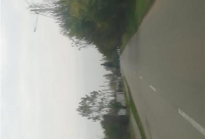 Teren de 10000 mp, în Dorobanțul - 2