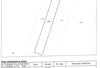 Teren Construcții intravilan de 1000 mp, în Ștefăneștii de Jos - 2