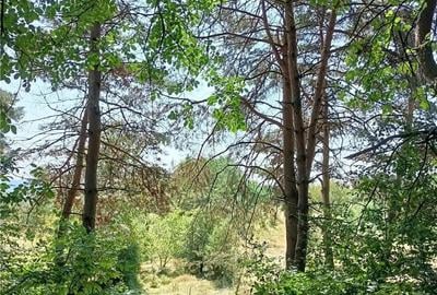 Teren de 100000 mp, în Valea Nenii - 2