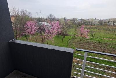 Garsonieră decomandată în Lunca Cetățuii - 7