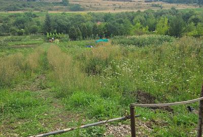 Vand teren intravilan,strada Budiului, 2 parcele,   total 5000 mp,neconstruibil.