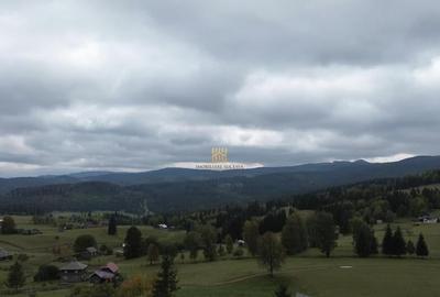Teren 2804 mp, la munte! In Bucovina Fundu Moldovei! - 32