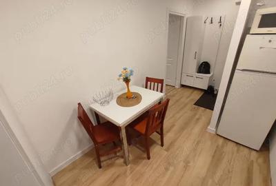 Inchiriez pe termen lung apartament la 5 min de UMF - 6
