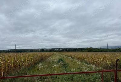Teren de 2000 mp, în Hotar - 2