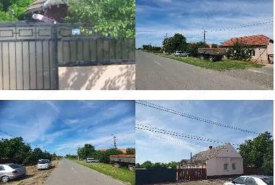 Casa si teren localitatea Cenad, comuna Cenad, jud. Timis - 2