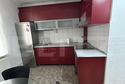 Apartament o camera, 36 mp, zona Tudor -Rodniciei - 16