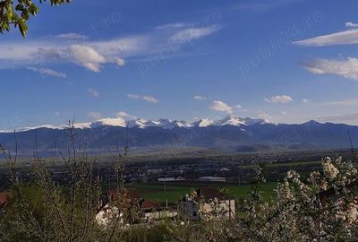 Casă în Hațeg - 1