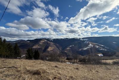 Spațiu comercial, în Măguri
