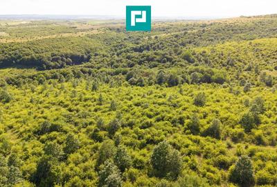 Teren agricol extravilan de 22900 mp, în Exterior Sud - 14