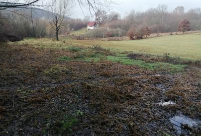 Teren de 1500 mp, în Săcădat - 2
