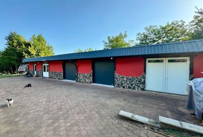10.000 mp de teren, pădure proprie și o casă generoasă de 540 mp. - 16
