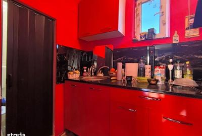 Casă cu 2 camere în Sânnicoară - 17