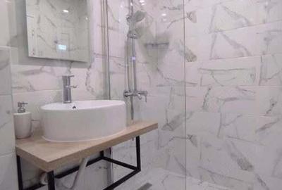 Inchiriere garsoniera in zona Piata Resita - 3