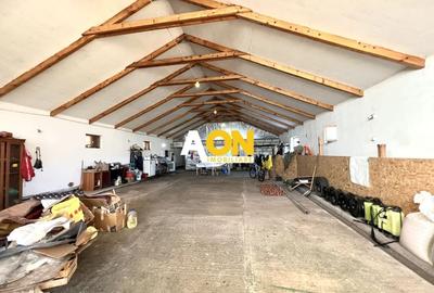 Ferma de vanzare cu 550MP utili si 27.500MP teren la asfalt - 8