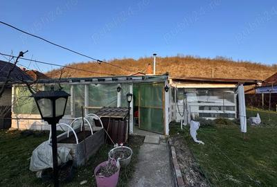 Casă cu Teren 2900 Mp în Trestia - 11