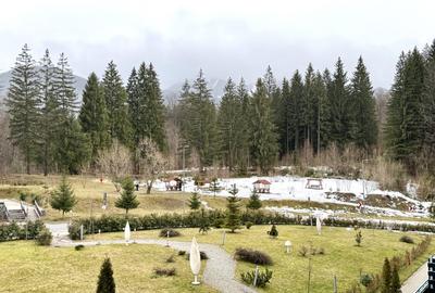 Apartament cu 2 camere semidecomandat, mobilat în Poiana Brașov - 18