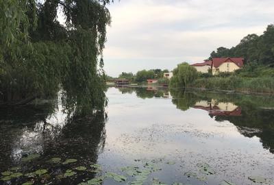 Teren intravilan 2.100 mp acces lac și utilități, Siliștea Snagovului - 7