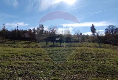 Teren intravilan de vanzare 3,798mp Str.Floreasca - Agnita - 1