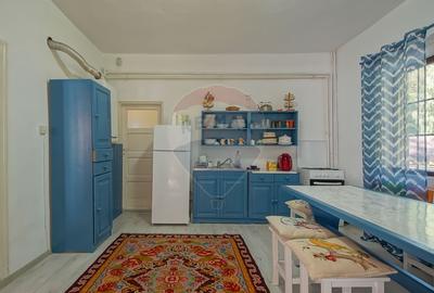 Casa / Vila cu 6 camere, in inima naturii, comision zero pt cumparator - 16