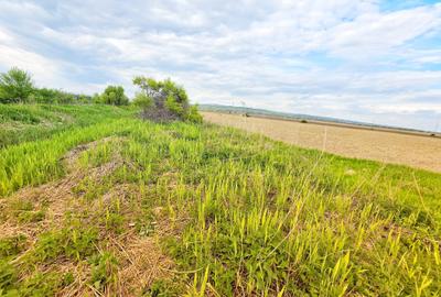 Teren Construcții intravilan de 7900 mp, în Bucov - 4