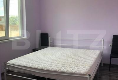 Casa P+M, teren generos 924 mp, Ideala pentru locuit + activitate profesionala - 8