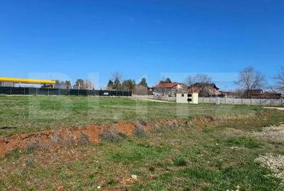 Teren de 1926 mp, în Priseaca - 10