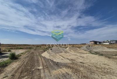 Teren -  Voluntari - zona Matei Millo - 5.607 mp - 2