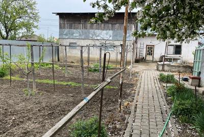 Teren Construcții intravilan de 700 mp, în Golești - 1