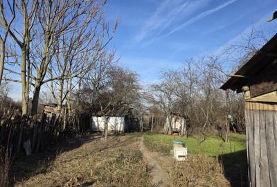 Spațiu comercial, în Lipia - 3