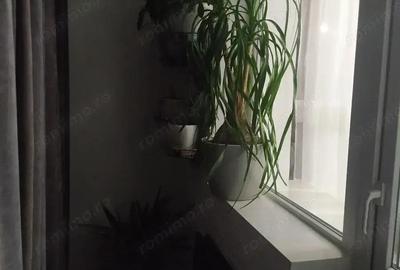 Ofer spre inchiriere un Apartament cu 2 camere - 2