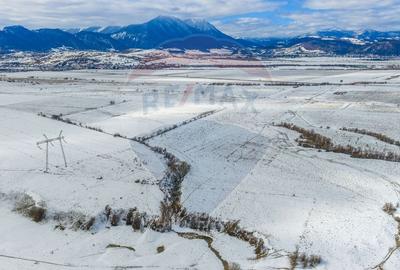 Teren agricol extravilan de 8329 mp, în Glăjărie - 11