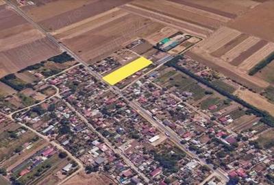 Teren de 5000 mp, în Tămădău Mare - 3