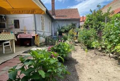 Casa 2 camere 100mp gradina zona Piata Cibin - 12