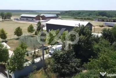 Teren în Crânguri - 1