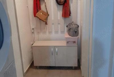 Garsonieră decomandată în Vișan - 4