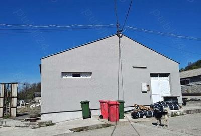 Spațiu comercial, de 773 mp, în Vlădesti - 2