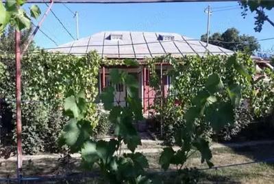 Casă cu 6 camere în Dumbrava (Gura Văii) - 15