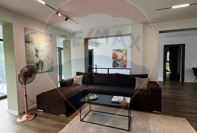 Proprietate specială, de 280 mp, în Almaș - 48