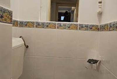 Zona Garii de Nord – Berzei – inchiriere Garsoniera in Vila ! Centrala - 14