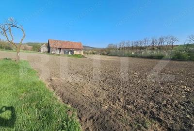 Casă cu 2 camere cu Teren 15000 Mp în Central - 14