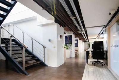 Kiseleff-Piata 1Mai subsol si Parter amenajat si utilat - 14