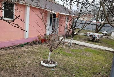 Casă cu Teren 2600 Mp în Central - 3