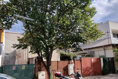 Casa renovabila zona Domenii, teren 224 mp - 4