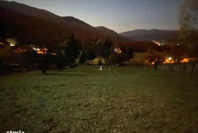 Spațiu comercial, în Trăisteni