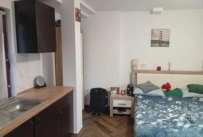 Garsoniera - zona Podu Ros - Palas - Pet Friendly - 3