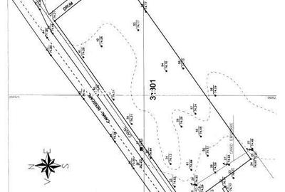 Teren de 10000 mp, în Central - 2